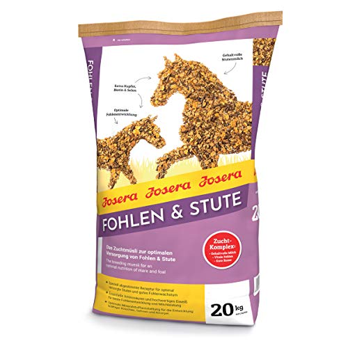 JOSERA Fohlen & Stute (1 x 20 kg) | Premium Pferdefutter | Zuchtmüsli | gehaltvolle Stutenmilch | optimale Fohlenentwicklung | Fohlenfutter| 1er Pack von Josera