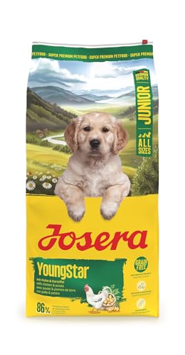 JOSERA Junior YoungStar Huhn & Kartoffel(1 x 12,5 kg) | Premium Trockenfutter für wachsende Hunde | Welpenfutter für mittlere und große Rassen zur optimalen Versorgung | getreidefrei | 1er Pack von Josera