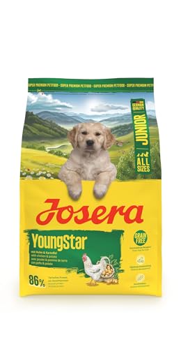 JOSERA Junior YoungStar Huhn & Kartoffel (1 x 3 kg) | Premium Trockenfutter für wachsende Hunde | Welpenfutter für mittlere und große Rassen zur optimalen Versorgung | getreidefrei | 1er Pack von Josera