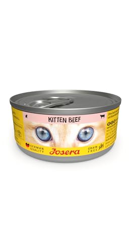 JOSERA Nassfutter Kitten Beef (12 x 85 g) | Kitten | Premium Katzenfutter nass für wachsende Katzen | Rind | mit Lachsöl | getreidefrei | Anti-Haarballen | Alleinfutter | 12er Pack von Josera