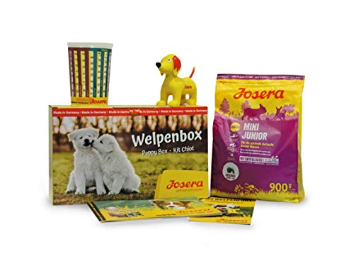 JOSERA Welpenbox mit MiniJunior Welpenfutter | für kleine Rassen | inklusive Messbecher, Welpenfibel und Quietsche-Spielzeug | Super Premium Trockenfutter für wachsende Hunde | 1er Pack von Josera