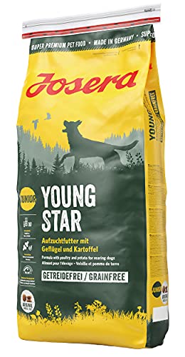 JOSERA Young Star (1 x 15 kg) | Junior | Premium Trockenfutter für wachsende Hunde | Geflügel & Kartoffel | getreidefrei | Welpenfutter für mittlere und große Rassen | Hundefutter | 1er Pack von Josera