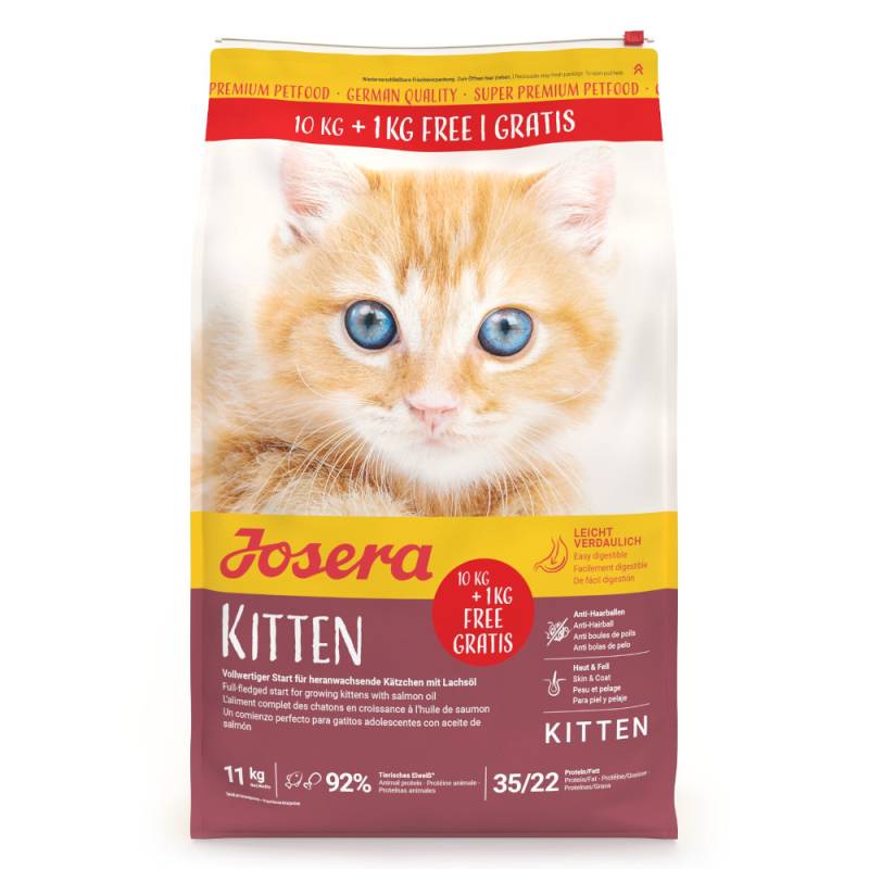 Josera Kitten - 10 + 1 kg von Josera