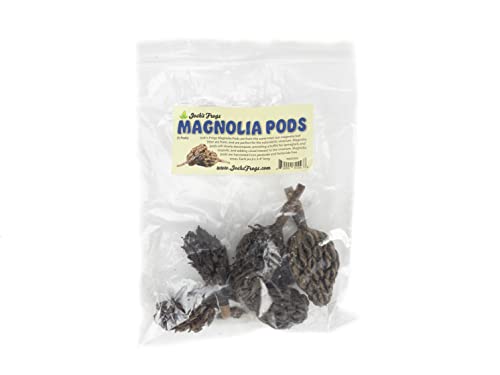 Josh's Frogs Magnolien-Pods (inkl. 5 Kapseln) von Josh's Frogs