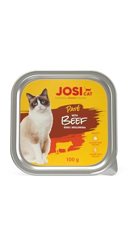 JosiCat Paté with Beef (32 x 100 g) | Adult | Premium Nassfutter für ausgewachsene Katzen | Pastete mit Rind | Vitamin D3 & E | getreidefrei | Powered by JOSERA | Katzenfutter nass | 32er Pack von JosiCat