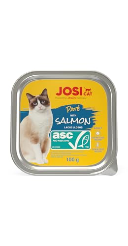 JosiCat Paté with Salmon (32 x 100 g) | Adult | Premium Nassfutter für ausgewachsene Katzen | Pastete mit Lachs (ASC-Zertifiziert) | getreidefrei | Powered by JOSERA | Katzenfutter nass | 32er Pack von JosiCat