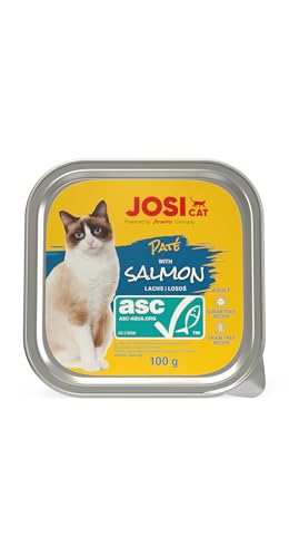 JOSICAT Paté with Salmon (32 x 100 g) | getreidefreies Nassfutter mit Lachs (ASC-Zertifiziert) | Alleinfuttermittel für ausgewachsene Katzen | Powered by JOSERA von JosiCat