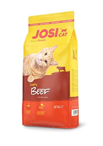 JosiCat Tasty Beef (1 x 10 kg), Premium Trockenfutter für ausgewachsene Katzen, Katzenfutter, powered by JOSERA, 1er Pack von JosiCat