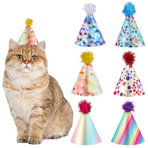6 Mini-Partyhüte für Stofftiere, mehrfarbig, Geburtstagshüte für Hunde, verstellbar, Katzenpartyhut mit Pompons, kleine Partyhüte für Kätzchen, Kaninchen, Kleintiere 6 Mini-Partyhüte für Stofftiere, mehrfarbig, Geburtstagshüte für Hunde, verstellbar, Katzenpartyhut mit Pompons, kleine Partyhüte für Kätzchen, Kaninchen, Kleintiere von Josojoou