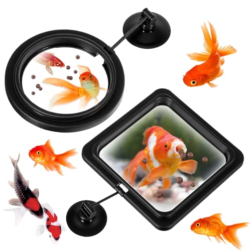 Betta Futterring mit starkem Saugnapf, runder und quadratischer schwimmender Futterspender für Guppy, Goldfische und andere kleine Fische, 4 Stück Betta Futterring mit starkem Saugnapf, runder und quadratischer schwimmender Futterspender für Guppy, Goldfische und andere kleine Fische, 4 Stück von Josojoou