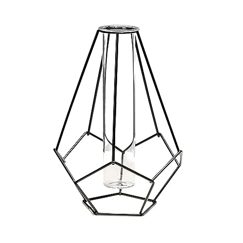 Vermehrungsstation mit geometrischem Metallgestell, Glas-Reagenzglas-Vase für Blumen Hydrokultur für Innenbüro-Raumdekor Couchtisch-Mittelstück (Color : Black) von JosuE