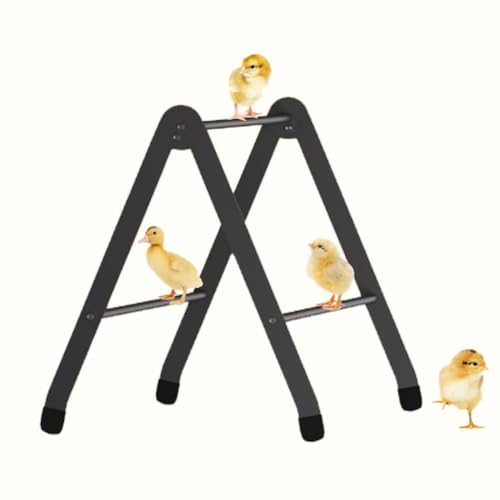 Einstellbar Metall Sitzstange für Huhn,Hühnerstangen für Brüter,Trainingshocker als Spielzeug für Küken,Geeignet für Große Vögel (Papageien, Hennen, Ara-Makawen) von Journdream