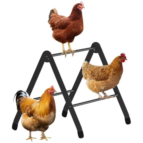 Einstellbar Metall Sitzstange für Huhn,Hühnerstangen für Brüter,Trainingshocker als Spielzeug für Küken,Geeignet für Große Vögel (Papageien, Hennen, Ara-Makawen) von Journdream