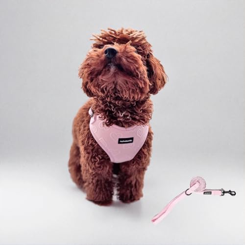 JoyCrafted-FBL Hundegeschirr und Hundeleine, kein Ziehen, kein Würgen, Herz-Design, leicht, atmungsaktiv, Neopren, für extra kleine bis mittelgroße Hunde, stilvoll und lustig für alle Rassen JoyCrafted-FBL Hundegeschirr und Hundeleine, kein Ziehen, kein Würgen, Herz-Design, leicht, atmungsaktiv, Neopren, für extra kleine bis mittelgroße Hunde, stilvoll und lustig für alle Rassen von JoyCrafted-FBL