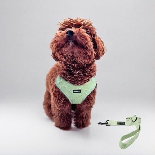 JoyCrafted-FBL Hundegeschirr und Leine Set - Verstellbares, atmungsaktives Neopren, kein Ziehen, reflektierend, bequeme Passform für kleine und mittelgroße Hunde (Grün, S) von JoyCrafted-FBL