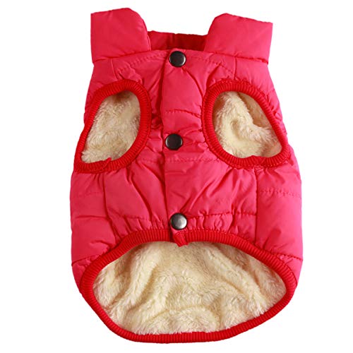 JoyDaog 2-lagige mit Fleece gefütterte Hundejacke, sehr warm für Winter und kaltes Wetter, extraweiche, winddichte Hundeweste,rose,M von JoyDaog