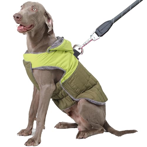 JoyDaog Abnehmbarer Hundemantel mit Kapuze und Geschirr für große Hunde, super warme Fleece-Welpenjacke für den kalten Winter, Grün, Größe XXL JoyDaog Abnehmbarer Hundemantel mit Kapuze und Geschirr für große Hunde, super warme Fleece-Welpenjacke für den kalten Winter, Grün, Größe XXL von JoyDaog