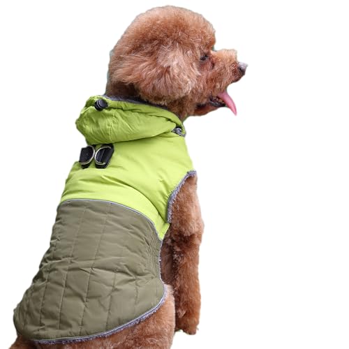 JoyDaog Abnehmbarer Hundemantel mit Kapuze und Geschirr für kleine Hunde, super warme Fleece-Welpenjacke für den kalten Winter, Grün, Größe S JoyDaog Abnehmbarer Hundemantel mit Kapuze und Geschirr für kleine Hunde, super warme Fleece-Welpenjacke für den kalten Winter, Grün, Größe S von JoyDaog