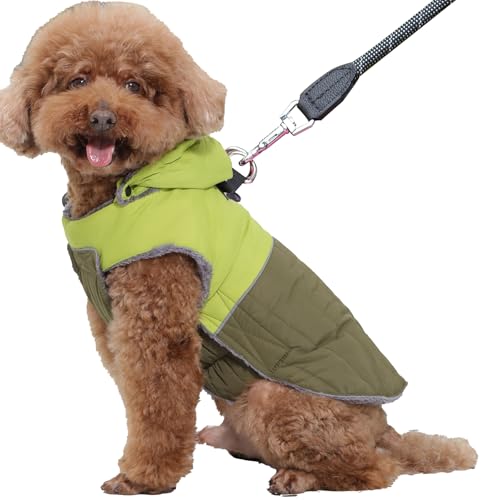 JoyDaog Abnehmbarer Hundemantel mit Kapuze und Geschirr für kleine Hunde, super warme Fleece-Welpenjacke für den kalten Winter, Grün, Größe XS JoyDaog Abnehmbarer Hundemantel mit Kapuze und Geschirr für kleine Hunde, super warme Fleece-Welpenjacke für den kalten Winter, Grün, Größe XS von JoyDaog