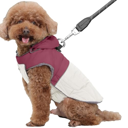 JoyDaog Abnehmbarer Hundemantel mit Kapuze und Geschirr für kleine Hunde, super warme Fleece-Welpenjacke für den kalten Winter, Rot, Größe M JoyDaog Abnehmbarer Hundemantel mit Kapuze und Geschirr für kleine Hunde, super warme Fleece-Welpenjacke für den kalten Winter, Rot, Größe M von JoyDaog