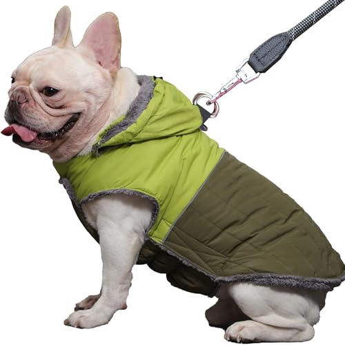 JoyDaog Abnehmbarer Hundemantel mit Kapuze und Geschirr für mittelgroße Hunde, super warme Fleece-Welpenjacke für kalte Wintermäntel, Grün, Größe L JoyDaog Abnehmbarer Hundemantel mit Kapuze und Geschirr für mittelgroße Hunde, super warme Fleece-Welpenjacke für kalte Wintermäntel, Grün, Größe L von JoyDaog