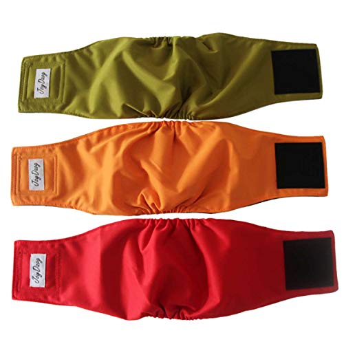 JoyDaog Bauchbänder für männliche Hunde, waschbar, wiederverwendbar, Welpenwickel, schwarzes Futter, Größe XS, 3 Stück JoyDaog Bauchbänder für männliche Hunde, waschbar, wiederverwendbar, Welpenwickel, schwarzes Futter, Größe XS, 3 Stück von JoyDaog