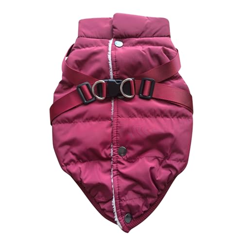 JoyDaog Hundejacke mit Geschirr, mit Fleece gefüttert, warmer Welpenmantel für den Winter, weich, winddicht, für kleine Hunde, Rot, Größe M JoyDaog Hundejacke mit Geschirr, mit Fleece gefüttert, warmer Welpenmantel für den Winter, weich, winddicht, für kleine Hunde, Rot, Größe M von JoyDaog