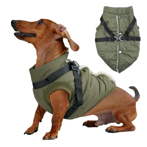JoyDaog Hundejacke mit Geschirr, mit Fleece gefüttert, warmer Welpenmantel für den Winter, weich, winddicht, mittelgroße Hundeweste, Grün, Größe L von JoyDaog
