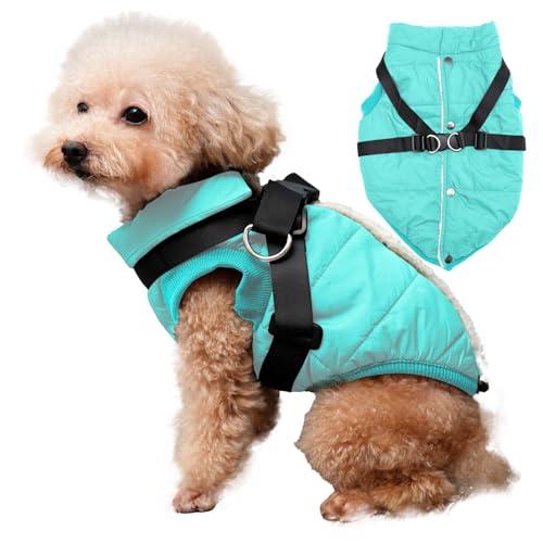 JoyDaog Hundejacke mit Geschirr, mit Fleece gefüttert, warmer Welpenmantel für den Winter, weiche, winddichte Weste für kleine Hunde, Blau, Größe M von JoyDaog