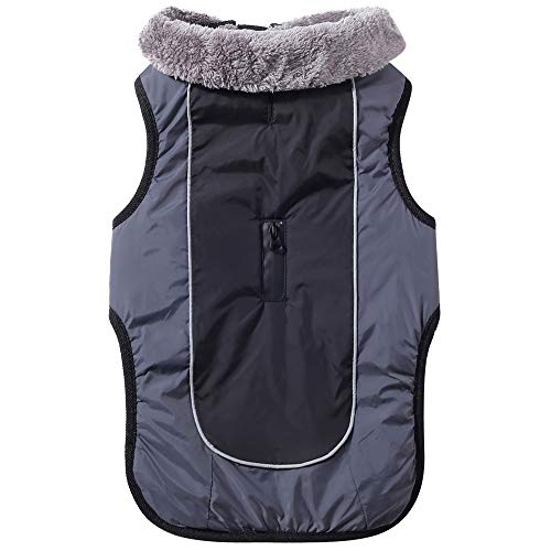 JoyDaog Hundemäntel mit Fleecehalsband für kleine Hunde, wasserdichte, warme Baumwolljacke für kalte Winter, Schwarz S JoyDaog Hundemäntel mit Fleecehalsband für kleine Hunde, wasserdichte, warme Baumwolljacke für kalte Winter, Schwarz S von JoyDaog
