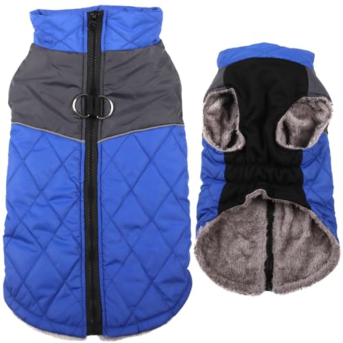 JoyDaog Warmer Fleece-Hundemantel für kleine Hunde, D-Ringe, wasserdichte Welpenjacke für den kalten Winter, Blau, Größe XS JoyDaog Warmer Fleece-Hundemantel für kleine Hunde, D-Ringe, wasserdichte Welpenjacke für den kalten Winter, Blau, Größe XS von JoyDaog