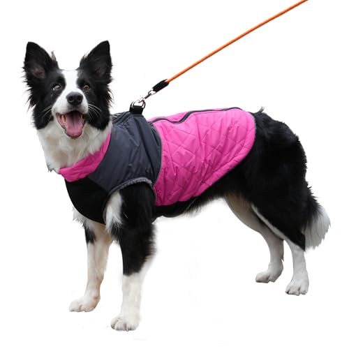 JoyDaog Warmer Fleece-Hundemantel für mittelgroße Hunde, D-Ringe, wasserdichte Welpenjacke für kalten Winter, Rosa, XL von JoyDaog