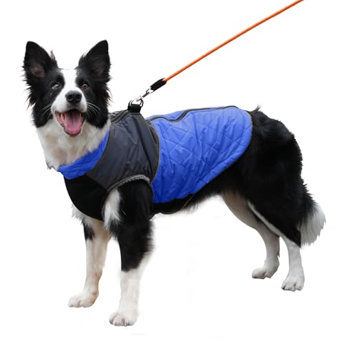 JoyDaog Warmer Fleece-Hundemantel für mittelgroße Hunde, D-Ringe, wasserdichte Welpenjacke für den kalten Winter, Blau, Größe XL von JoyDaog