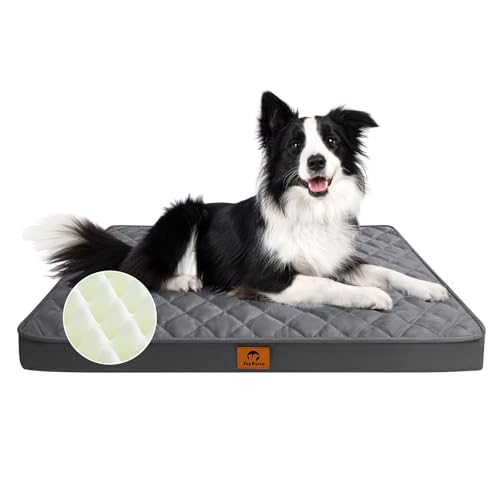 JoyPetto Orthopädisches Hundebett für große Hunde – 7,6 cm Eierkisten-Schaumstoff, wasserdicht und maschinenwaschbar, 88,9 cm L x 55,9 cm B x 7,6 cm T, Dunkelgrau von JoyPetto