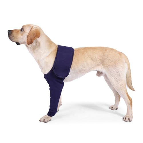 Hunde-Erholungsanzug, Abriebfeste Erholungshülle für Hunde, Wundschutzanzüge für Hunde, Hunde-Erholungshülle, Verhindert Lecken, Bisse, Nässe und Infektion bei Haustierwunden, Waschbar, Blau (M) Hunde-Erholungsanzug, Abriebfeste Erholungshülle für Hunde, Wundschutzanzüge für Hunde, Hunde-Erholungshülle, Verhindert Lecken, Bisse, Nässe und Infektion bei Haustierwunden, Waschbar, Blau (M) von Joyan