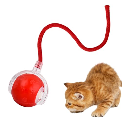 Joyan Interaktives Katzenspielzeug Elektrisch, Katzenspielzeug Selbstbeschäftigung, USB-Aufladung Magic Ball Hund 3 Arbeitsmodi Interaktiver Spielball mit Schwanz für Katzen und Hunde von Joyan