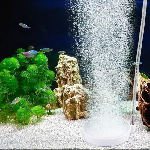 Joycabin Aquarium Luftstein, Sprudler für Aquarium, Nano Luftsteinscheibe, Sauerstoff Stein Nano Bubble Air Stone Kit für Gelösten Sauerstoff für Aquarium und Hydroponic (100 mm) von Joycabin