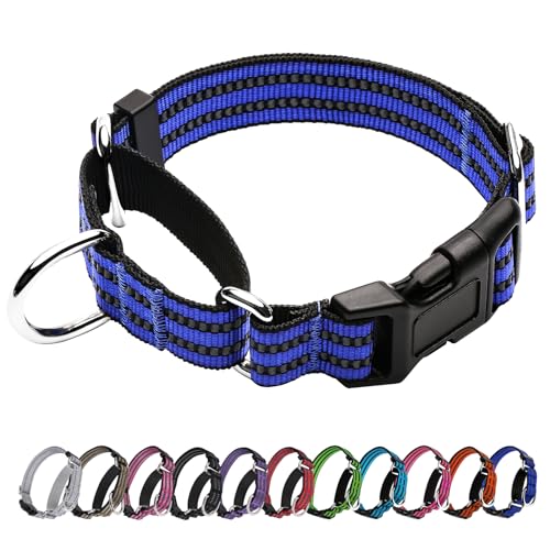 JOYEEIIOO Martingale Hundehalsband, Verstellbares Nylon Reflektierend Halsband mit Schnellverschluss-Schnalle (Königsblau, Medium) von Joyeeiioo