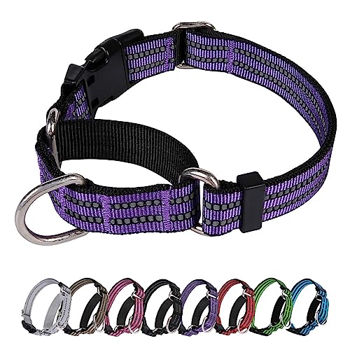 JOYEEIIOO Martingale Hundehalsband, verstellbar, Nylon, reflektierend, mit Schnalle, kein Ziehen, für kleine, mittelgroße und große Hunde, verhindert Herausrutschen, hilft bei starken Ziehern, erhöht JOYEEIIOO Martingale Hundehalsband, verstellbar, Nylon, reflektierend, mit Schnalle, kein Ziehen, für kleine, mittelgroße und große Hunde, verhindert Herausrutschen, hilft bei starken Ziehern, erhöht von Joyeeiioo