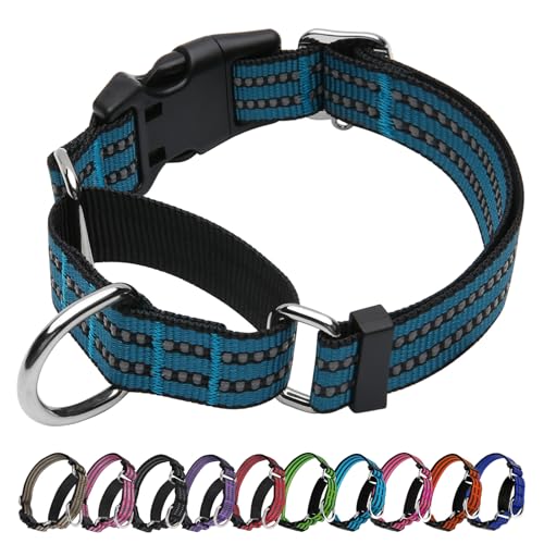 JOYEEIIOO Martingale Hundehalsband, verstellbar, Nylon, reflektierend, mit Schnellverschluss-Schnalle, Enzianblau, Größe L JOYEEIIOO Martingale Hundehalsband, verstellbar, Nylon, reflektierend, mit Schnellverschluss-Schnalle, Enzianblau, Größe L von Joyeeiioo