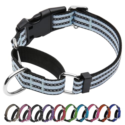 JOYEEIIOO Martingale Hundehalsband, verstellbar, Nylon, reflektierend, mit Schnellverschluss-Schnalle (Eisblau, Größe M) von Joyeeiioo