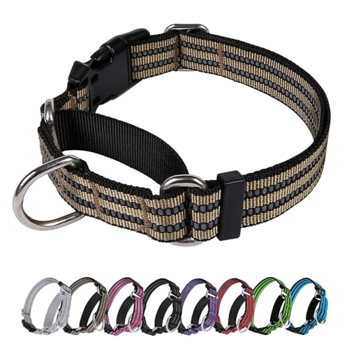 JOYEEIIOO Martingale Hundehalsband, verstellbares, reflektierendes Nylon-Halsband mit Schnalle. Kein Ziehen, für kleine, erhöht die Kontrolle, Grün von Joyeeiioo