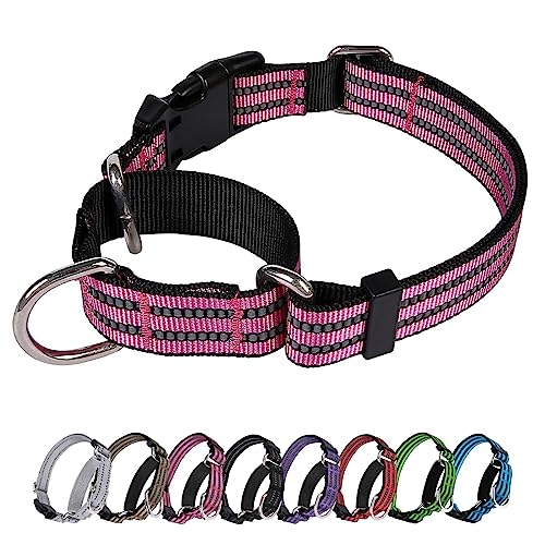 JOYEEIIOO Martingale Hundehalsband, verstellbares, reflektierendes Nylon-Halsband mit Schnalle. Kein Ziehen, für kleine, erhöht die Kontrolle, Pink M von Joyeeiioo