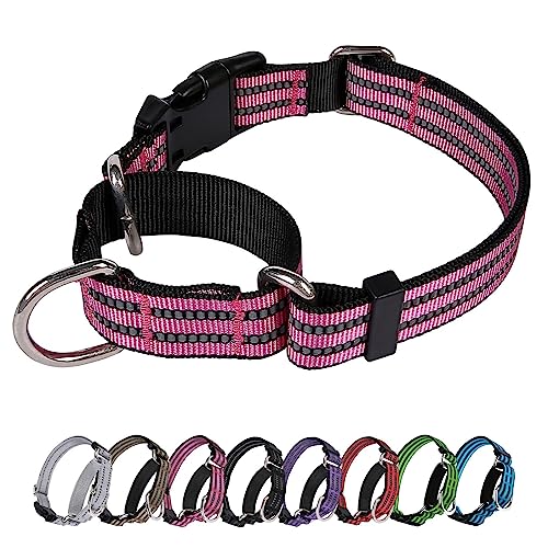 JOYEEIIOO Martingale Hundehalsband, verstellbares, reflektierendes Nylon-Halsband mit Schnalle. Kein Ziehen, für kleine, erhöht die Kontrolle, rosa L von Joyeeiioo