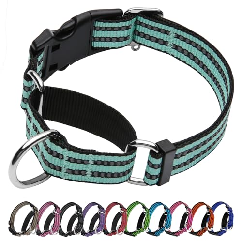 JOYEEIIOO Martingale Hundehalsband, verstellbares reflektierendes Nylon-Halsband mit Schnellverschluss-Schnalle (Apfelgrün, Größe M) von Joyeeiioo