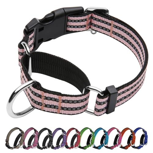 JOYEEIIOO Martingale Hundehalsband, verstellbares reflektierendes Nylon-Halsband mit Schnellverschluss-Schnalle (Hellrosa, groß) von Joyeeiioo