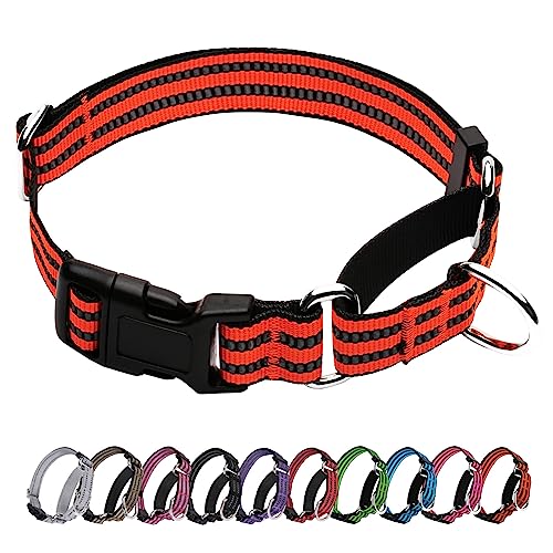 JOYEEIIOO Martingale Hundehalsband, verstellbares reflektierendes Nylon-Halsband mit Schnellverschluss-Schnalle (Hellrot, Größe L) von Joyeeiioo