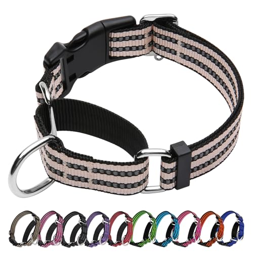 JOYEEIIOO Martingale Hundehalsband, verstellbares reflektierendes Nylon-Halsband mit Schnellverschluss-Schnalle (Rosa, Elfenbein, klein) von Joyeeiioo