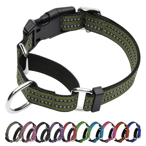 JOYEEIIOO Martingale Hundehalsband, verstellbares reflektierendes Nylon-Halsband mit Schnellverschluss-Schnalle (Waldgrün, Größe M) von Joyeeiioo