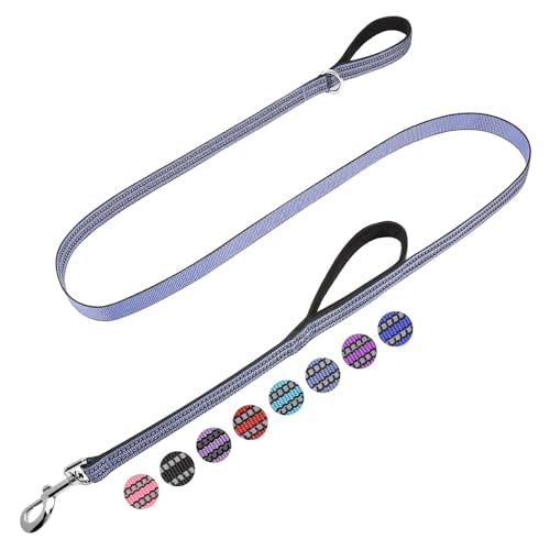 JOYEEIIOO Reflektierende Hundeleine, 1,8 m starkes, reflektierendes Nylon, robuste Hundeleine mit 2 gepolsterten Griffen, Graublau von Joyeeiioo